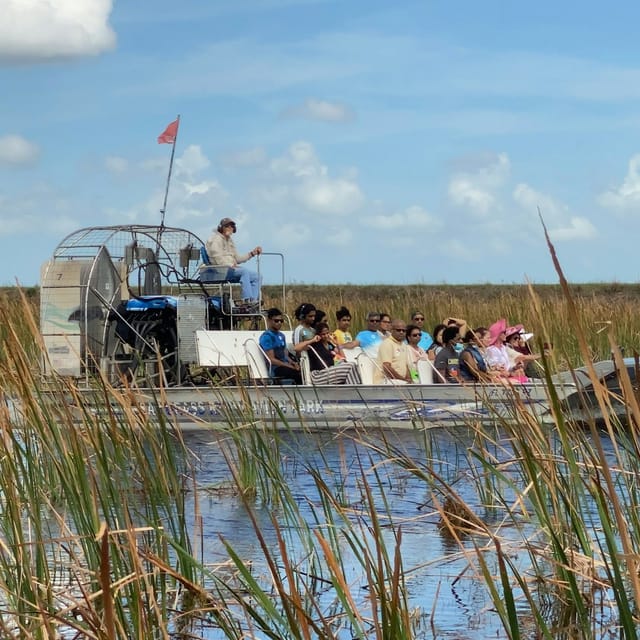 everglades-30-minute-airboat-tour-wildlife-show-and-transportation-from-miami_1